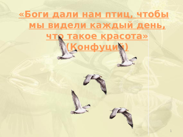 «Боги дали нам птиц, чтобы мы видели каждый день, что такое красота» (Конфуций)  