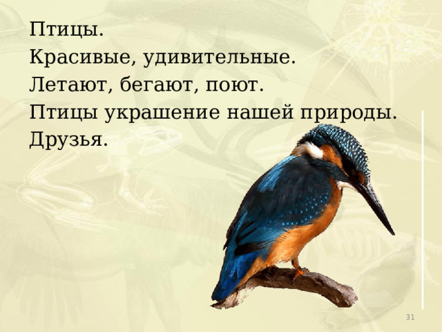 Птицы. Красивые, удивительные. Летают, бегают, поют. Птицы украшение нашей природы. Друзья.  