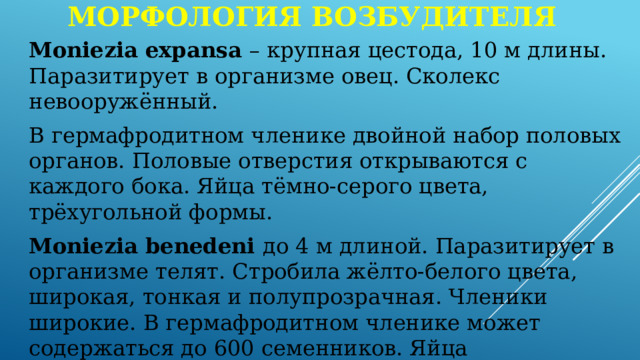 Морфология возбудителя Moniezia expansa – крупная цестода, 10 м длины. Паразитирует в организме овец. Сколекс невооружённый. В гермафродитном членике двойной набор половых органов. Половые отверстия открываются с каждого бока. Яйца тёмно-серого цвета, трёхугольной формы. Moniezia benedeni до 4 м длиной. Паразитирует в организме телят. Стробила жёлто-белого цвета, широкая, тонкая и полупрозрачная. Членики широкие. В гермафродитном членике может содержаться до 600 семенников. Яйца четырёхугольной формы. 