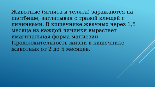 Животные (ягнята и телята) заражаются на пастбище, заглатывая с травой клещей с личинками. В кишечнике жвачных через 1,5 месяца из каждой личинки вырастает имагинальная форма маниезий. Продолжительность жизни в кишечнике животных от 2 до 5 месяцев. 