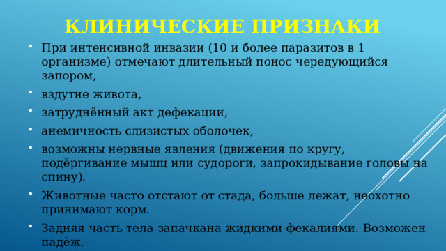 Клинические признаки При интенсивной инвазии (10 и более паразитов в 1 организме) отмечают длительный понос чередующийся запором, вздутие живота, затруднённый акт дефекации, анемичность слизистых оболочек, возможны нервные явления (движения по кругу, подёргивание мышц или судороги, запрокидывание головы на спину). Животные часто отстают от стада, больше лежат, неохотно принимают корм. Задняя часть тела запачкана жидкими фекалиями. Возможен падёж. 