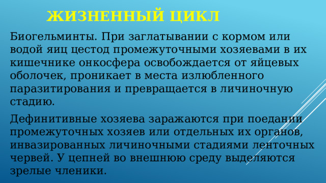 Жизненный цикл Биогельминты. При заглатывании с кормом или водой яиц цестод промежуточными хозяевами в их кишечнике онкосфера освобождается от яйцевых оболочек, проникает в места излюбленного паразитирования и превращается в личиночную стадию. Дефинитивные хозяева заражаются при поедании промежуточных хозяев или отдельных их органов, инвазированных личиночными стадиями ленточных червей. У цепней во внешнюю среду выделяются зрелые членики. А у лентецов чаще яйца. 