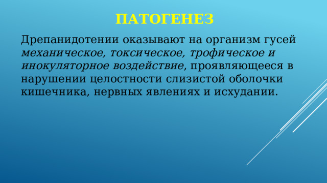 патогенез Дрепанидотении оказывают на организм гусей механическое, токсическое, трофическое и инокуляторное воздействие , проявляющееся в нарушении целостности слизистой оболочки кишечника, нервных явлениях и исхудании. 