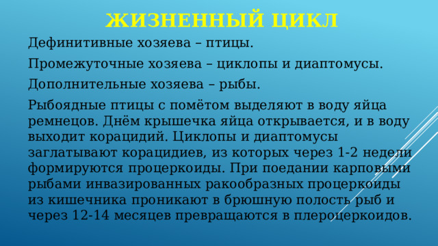 Жизненный цикл Дефинитивные хозяева – птицы. Промежуточные хозяева – циклопы и диаптомусы. Дополнительные хозяева – рыбы. Рыбоядные птицы с помётом выделяют в воду яйца ремнецов. Днём крышечка яйца открывается, и в воду выходит корацидий. Циклопы и диаптомусы заглатывают корацидиев, из которых через 1-2 недели формируются процеркоиды. При поедании карповыми рыбами инвазированных ракообразных процеркоиды из кишечника проникают в брюшную полость рыб и через 12-14 месяцев превращаются в плероцеркоидов. 