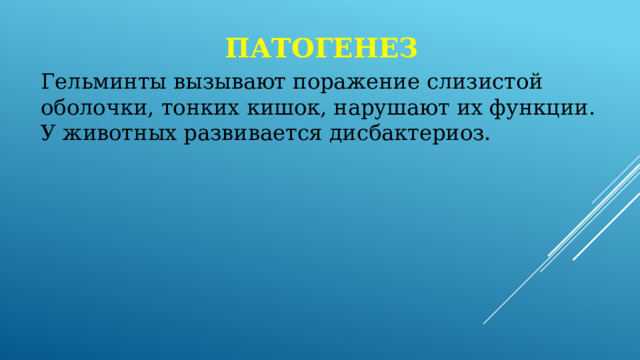 патогенез Гельминты вызывают поражение слизистой оболочки, тонких кишок, нарушают их функции. У животных развивается дисбактериоз. 