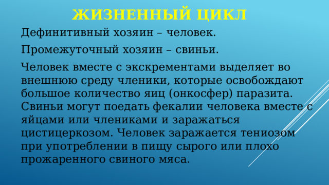 Жизненный цикл Дефинитивный хозяин – человек. Промежуточный хозяин – свиньи. Человек вместе с экскрементами выделяет во внешнюю среду членики, которые освобождают большое количество яиц (онкосфер) паразита. Свиньи могут поедать фекалии человека вместе с яйцами или члениками и заражаться цистицеркозом. Человек заражается тениозом при употреблении в пищу сырого или плохо прожаренного свиного мяса. 