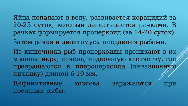 Яйца попадают в воду, развивается корацидий за 20-25 суток, который заглатывается рачками. В рачках формируется процеркоид (за 14-20 суток). Затем рачки и диаптомусы поедаются рыбами. Из кишечника рыб процеркоиды проникают в их мышцы, икру, печень, подкожную клетчатку, где превращаются в плероцеркоида (инвазионную личинку) длиной 6-10 мм. Дефинитивные хозяева заражаются при поедании рыбы. 