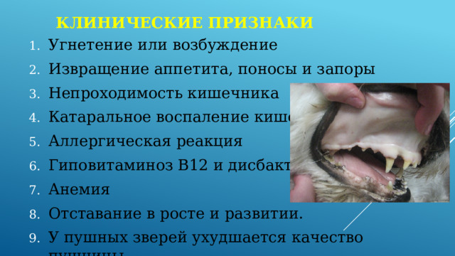 Клинические признаки Угнетение или возбуждение Извращение аппетита, поносы и запоры Непроходимость кишечника Катаральное воспаление кишок Аллергическая реакция Гиповитаминоз В12 и дисбактериоз Анемия Отставание в росте и развитии. У пушных зверей ухудшается качество пушнины. 