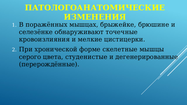 Патологоанатомические изменения В поражённых мышцах, брыжейке, брюшине и селезёнке обнаруживают точечные кровоизлияния и мелкие цистицерки. При хронической форме скелетные мышцы серого цвета, студенистые и дегенерированные (перерождённые). 
