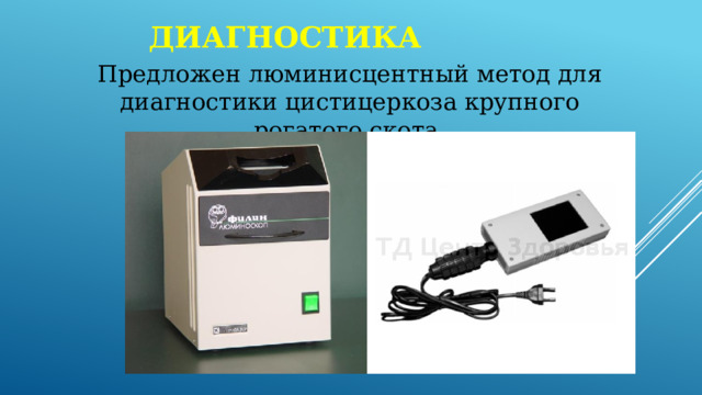 Диагностика Предложен люминисцентный метод для диагностики цистицеркоза крупного рогатого скота. 