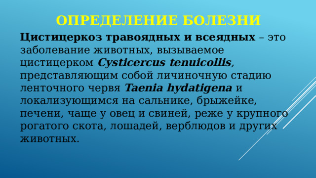 Определение болезни Цистицеркоз травоядных и всеядных – это заболевание животных, вызываемое цистицерком Cysticercus tenuicollis , представляющим собой личиночную стадию ленточного червя Taenia hydatigena и локализующимся на сальнике, брыжейке, печени, чаще у овец и свиней, реже у крупного рогатого скота, лошадей, верблюдов и других животных. 