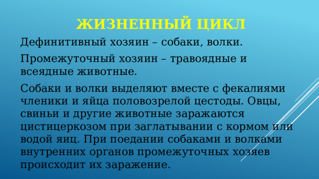 Жизненный цикл Дефинитивный хозяин – собаки, волки. Промежуточный хозяин – травоядные и всеядные животные. Собаки и волки выделяют вместе с фекалиями членики и яйца половозрелой цестоды. Овцы, свиньи и другие животные заражаются цистицеркозом при заглатывании с кормом или водой яиц. При поедании собаками и волками внутренних органов промежуточных хозяев происходит их заражение. 