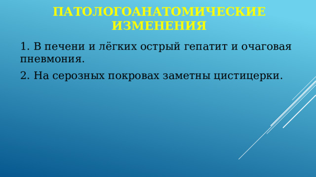Патологоанатомические изменения 1. В печени и лёгких острый гепатит и очаговая пневмония. 2. На серозных покровах заметны цистицерки. 