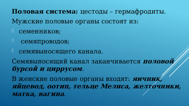 Половая система: цестоды – гермафродиты. Мужские половые органы состоят из: семенников;  семяпроводов; семявыносящего канала. Семявыносящий канал заканчивается половой бурсой и циррусом . В женские половые органы входят: яичник, яйцевод, оотип, тельце Мелиса, желточники, матка, вагина . 