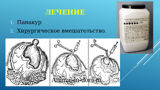 лечение Панакур Хирургическое вмешательство. 