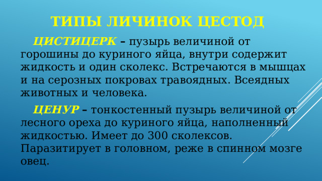 Типы личинок цестод  ЦИСТИЦЕРК – пузырь величиной от горошины до куриного яйца, внутри содержит жидкость и один сколекс. Встречаются в мышцах и на серозных покровах травоядных. Всеядных животных и человека.  ЦЕНУР  – тонкостенный пузырь величиной от лесного ореха до куриного яйца, наполненный жидкостью. Имеет до 300 сколексов. Паразитирует в головном, реже в спинном мозге овец. 