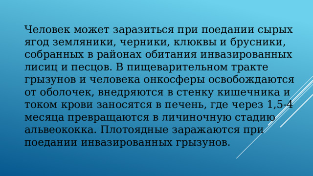 Человек может заразиться при поедании сырых ягод земляники, черники, клюквы и брусники, собранных в районах обитания инвазированных лисиц и песцов. В пищеварительном тракте грызунов и человека онкосферы освобождаются от оболочек, внедряются в стенку кишечника и током крови заносятся в печень, где через 1,5-4 месяца превращаются в личиночную стадию альвеококка. Плотоядные заражаются при поедании инвазированных грызунов. 