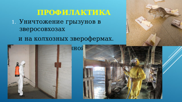 профилактика Уничтожение грызунов в зверосовхозах  и на колхозных зверофермах. Соблюдение личной гигиены. 