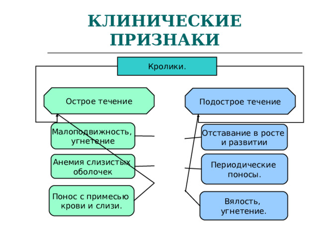 Стул с примесью слизи и крови у ребенка