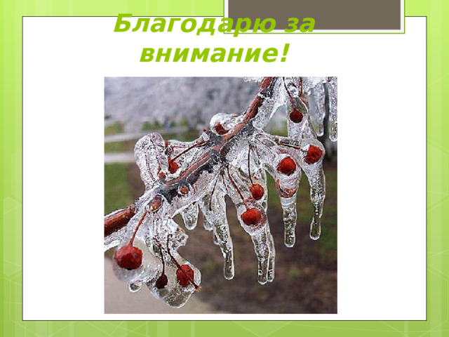 Благодарю за внимание! 