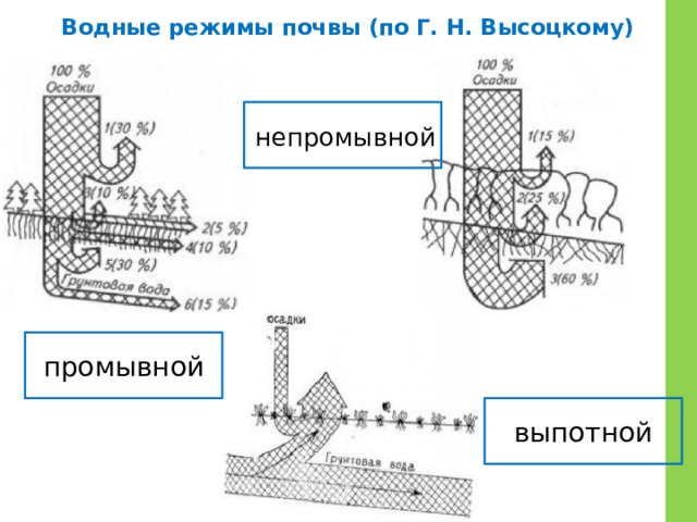 Водные режимы почвы (по Г. Н. Высоцкому) непромывной промывной выпотной 