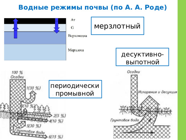 Водные режимы почвы (по А. А. Роде) мерзлотный десуктивно-выпотной периодически промывной 