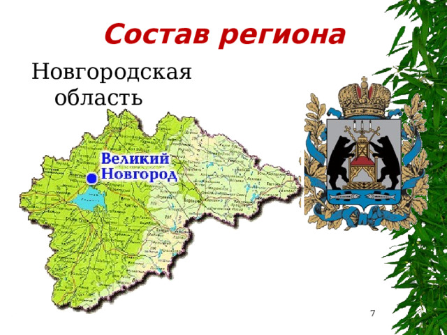 Состав региона Новгородская область  