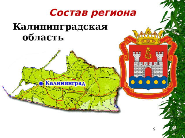 Состав региона Калининградская область  