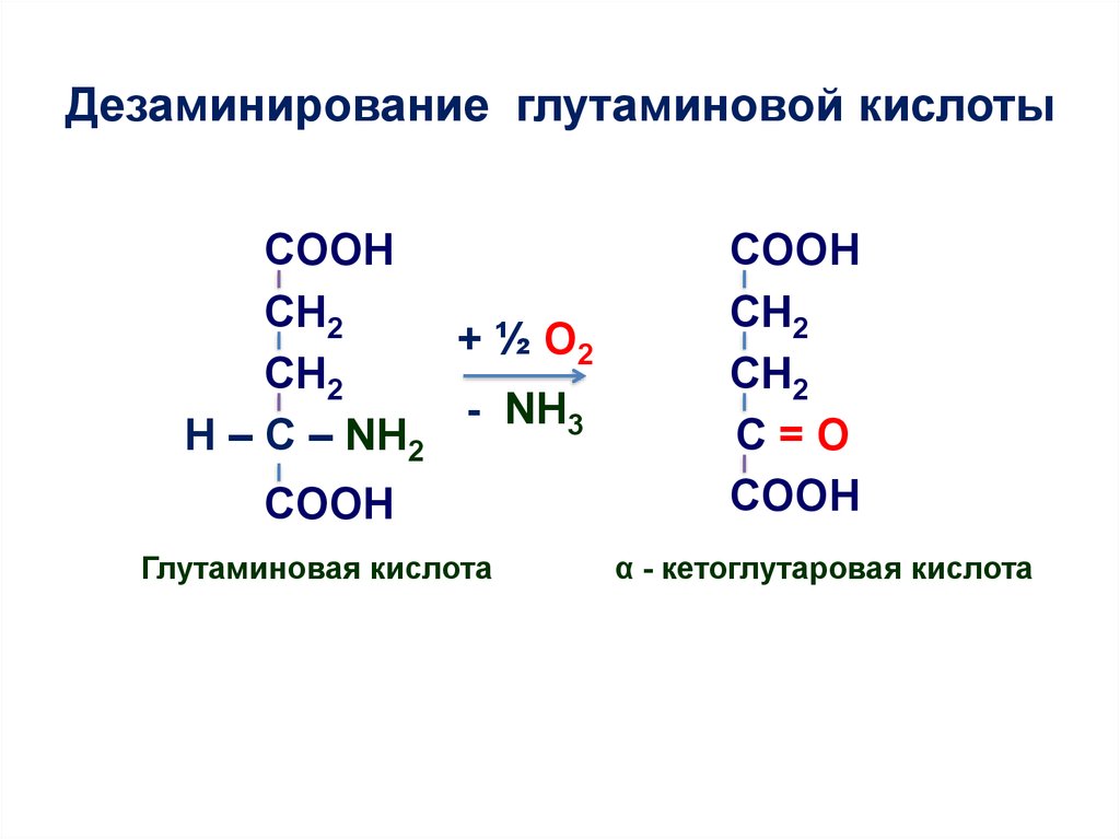 Глутаминовая кислота. Структурная формула глутаминовой кислоты. Дезаминирование глутаминовой кислоты. Глутаминовая кислота структура. Формула глутаминовой кислоты.