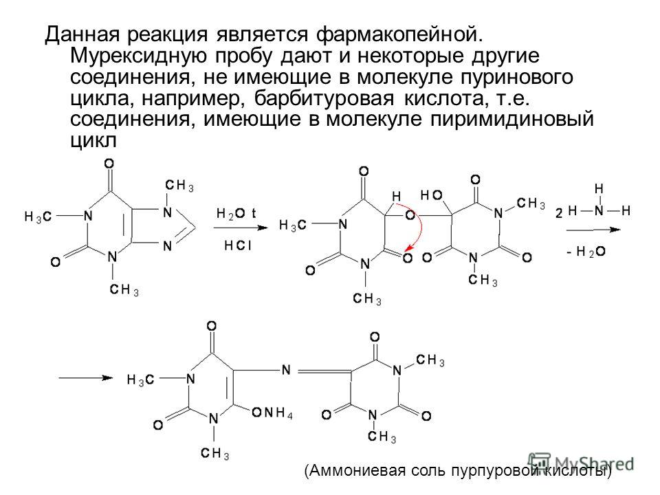 Являться реакция