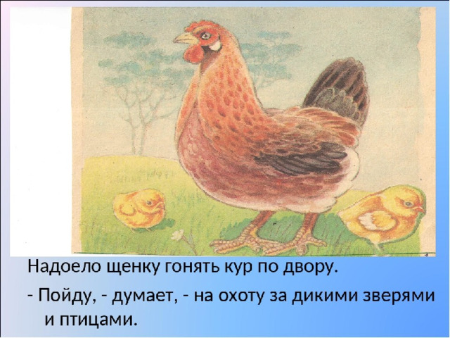 Бианки 1 класс азбука презентация школа россии. Надоело щенку гонять кур по двору. Карточка курица по двору.