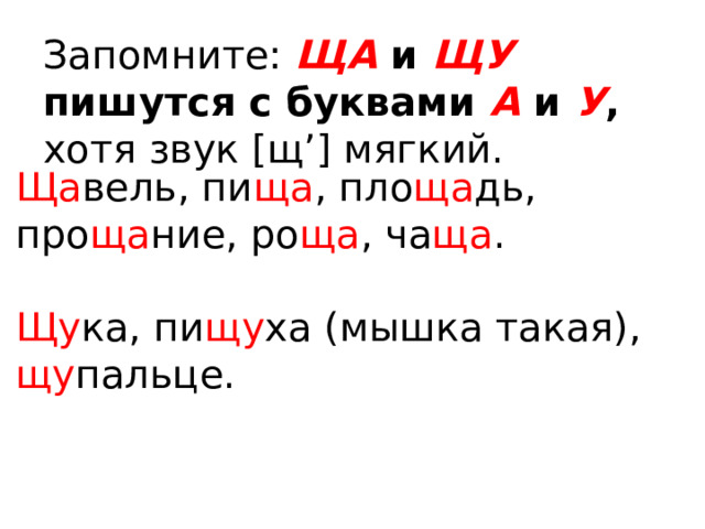 Запомните: ЩА  и  ЩУ  пишутся с буквами А  и У , хотя звук [щ’] мягкий. Ща вель, пи ща , пло ща дь, про ща ние, ро ща , ча ща . Щу ка, пи щу ха (мышка такая), щу пальце. 