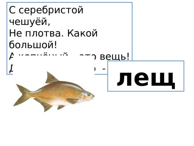 С серебристой чешуёй,  Не плотва. Какой большой! А копчёный – это вещь! Догадались? Это  - лещ 