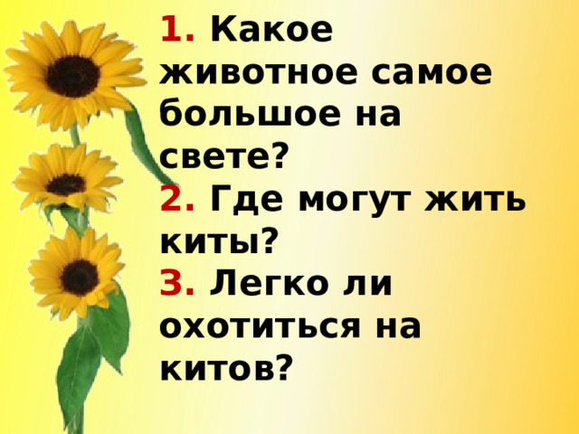 1. Какое животное самое большое на свете?  2. Где могут жить киты?  З. Легко ли охотиться на китов?   