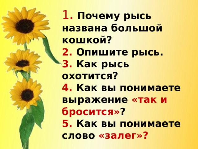 1 . Почему рысь названа большой кошкой?  2. Опишите рысь.  3. Как рысь охотится?  4. Как вы понимаете выражение «так и бросится» ?  5. Как вы понимаете слово «залег»? 