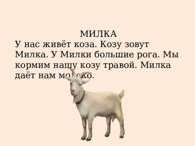 МИЛКА У нас живёт коза. Козу зовут Милка. У Милки большие рога. Мы кормим нашу козу травой. Милка даёт нам молоко. 