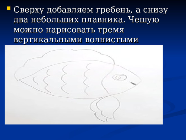 Сверху добавляем гребень, а снизу два небольших плавника. Чешую можно нарисовать тремя вертикальными волнистыми линиями. 