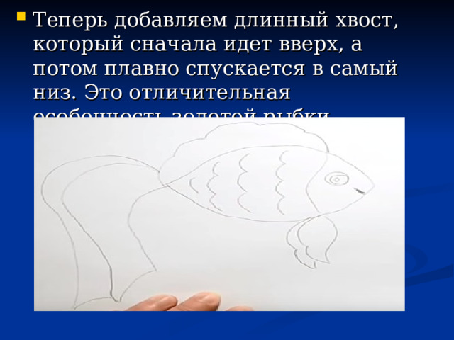 Теперь добавляем длинный хвост, который сначала идет вверх, а потом плавно спускается в самый низ. Это отличительная особенность золотой рыбки. 