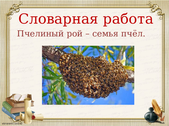 Словарная работа Пчелиный рой – семья пчёл. 