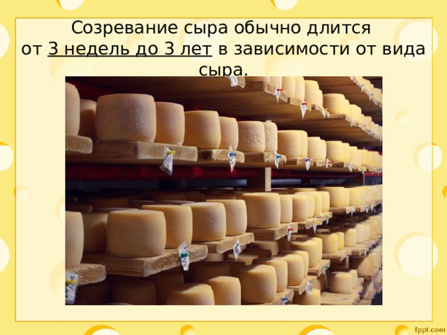 Созревание сыра обычно длится  от 3 недель до 3 лет в зависимости от вида сыра. 