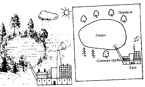 Практическая работа озера. Какие изменения могут происходить с экосистемами. Какие изменения могут произойти в экосистеме Луга. Какие изменения могут произойти экологической системе леса. Ляхд схема.