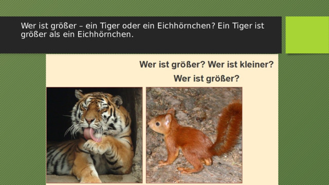 Wer Ist Größer Tiger Oder Löwe multiurok.ru
