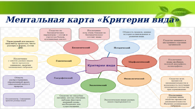  Ментальная карта «Критерии вида» 
