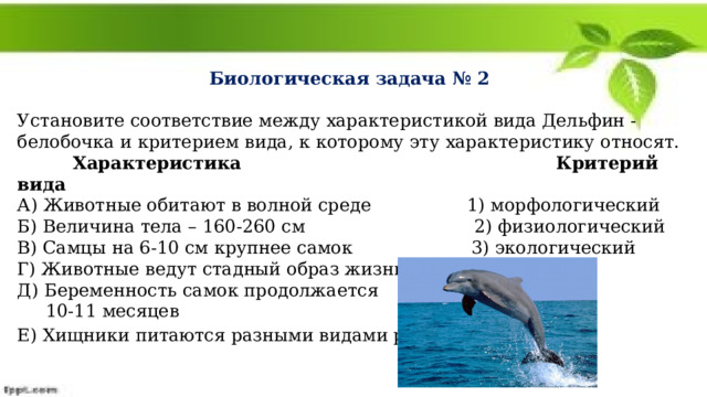 Биологическая задача № 2  Установите соответствие между характеристикой вида Дельфин -белобочка и критерием вида, к которому эту характеристику относят.  Характеристика Критерий вида А) Животные обитают в волной среде 1) морфологический Б) Величина тела – 160-260 см 2) физиологический В) Самцы на 6-10 см крупнее самок 3) экологический Г) Животные ведут стадный образ жизни Д) Беременность самок продолжается  10-11 месяцев Е) Хищники питаются разными видами рыб  