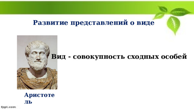 Развитие представлений о виде Вид - совокупность сходных особей Аристотель 