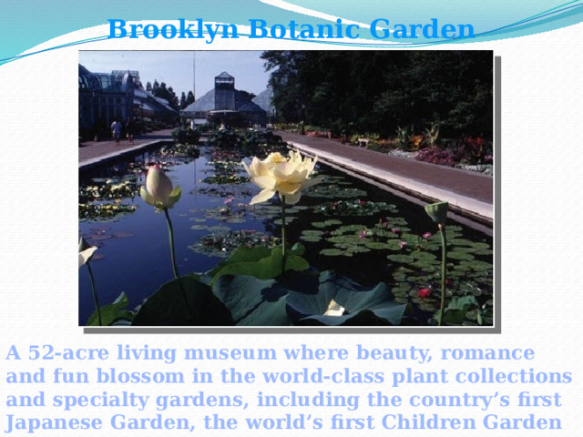 Brooklyn Botanic Garden A 52-acre living museum where beauty, romance and fun blossom in the world-class plant collections and specialty gardens, including the country’s first Japanese Garden, the world’s first Children Garden and more.  