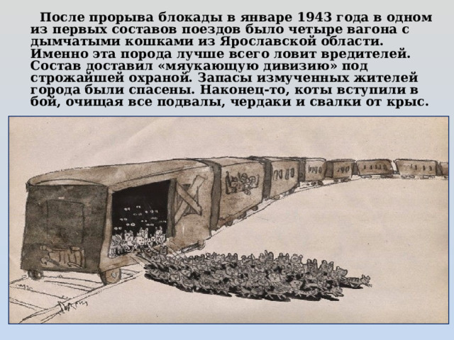  После прорыва блокады в январе 1943 года в одном из первых составов поездов было четыре вагона с дымчатыми кошками из Ярославской области. Именно эта порода лучше всего ловит вредителей. Состав доставил «мяукающую дивизию» под строжайшей охраной. Запасы измученных жителей города были спасены. Наконец-то, коты вступили в бой, очищая все подвалы, чердаки и свалки от крыс. 