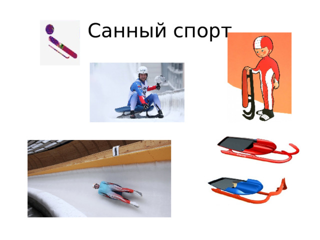 Санный спорт 