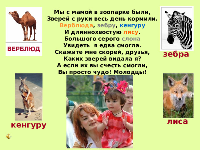 Мы с мамой в зоопарке были, Зверей с руки весь день кормили. Верблюда , зебру , кенгуру И длиннохвостую лису . Большого серого слона Увидеть я едва смогла. Скажите мне скорей, друзья, Каких зверей видала я? А если их вы счесть смогли, Вы просто чудо! Молодцы! зебра лиса кенгуру 