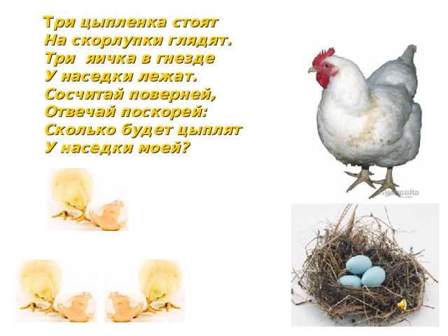 Т ри цыпленка стоят  На скорлупки глядят. Три яичка в гнезде  У наседки лежат.  Сосчитай поверней,  Отвечай поскорей:  Сколько будет цыплят  У наседки моей?  